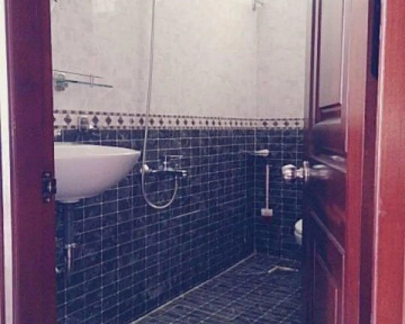 Opalus Hotel Нячанг
